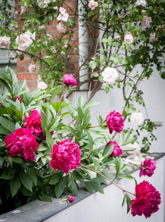 Moensberg Bed & Breakfast Linkebeek
